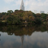 新宿御苑(2009/11/8)