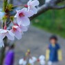 4月7日