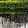 水面に
