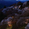 下千本の朝