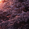 beginning