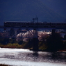 Sakura Bridge