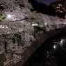夜の彷徨