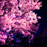 Pink！