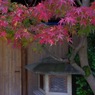 嵯峨野