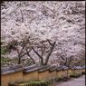 楼 土塀のある風景