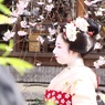 舞妓はん#2
