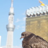 浅草にて
