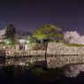 夜の姫路城