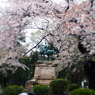 春雨