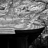 中尊寺 覆堂