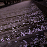 桜橋
