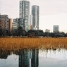 FH000019