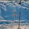 FH010018