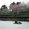 石庭