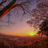 船岡城址跡より