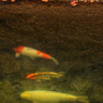 gallery04