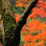gallery09