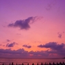 沈む太陽