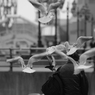 P0055002