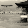 干潮
