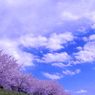 sky blue