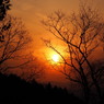 夕陽