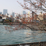P1020786