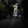 P1020848
