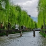 白川