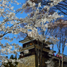 上田城址公園１