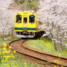 春色列車