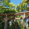 明治神宮