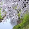 小雨の小川