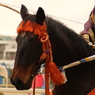 静かな闘志