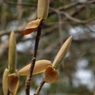 P1000932