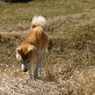 P1000907