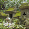 佐助稲荷神社のお狐様たち