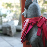 上野公園神社02