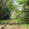 此岸からの風景＜2011-10＞＊川越市・旧安比奈線