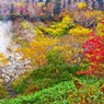 彩りの山肌