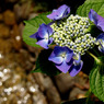 P1013046
