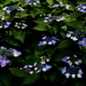 P1013047