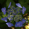 P1013103