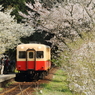 桜の駅