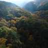 まだ少し早い紅葉