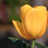 カメラ散歩～2014.4.23～
