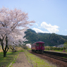 桜鉄♪