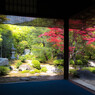 上賀茂の社家　－西村家庭園