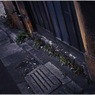 Nakano at Night #17